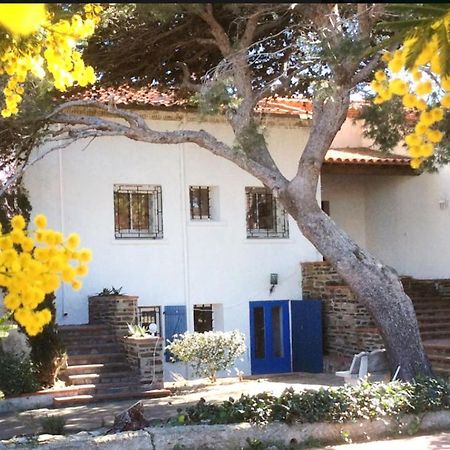 Villa Bleue - Les Pins Port Vendres Luaran gambar