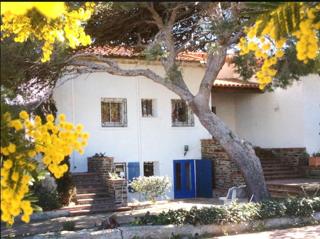 Villa Bleue - Les Pins Port Vendres Luaran gambar