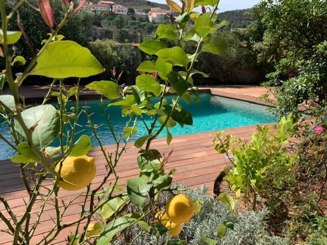 Villa Bleue - Les Pins Port Vendres Luaran gambar